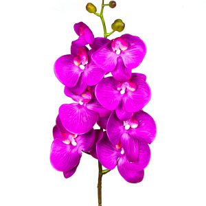 Yapay Orkide Gerçek Dokunuş Fuşya 104 Cm.