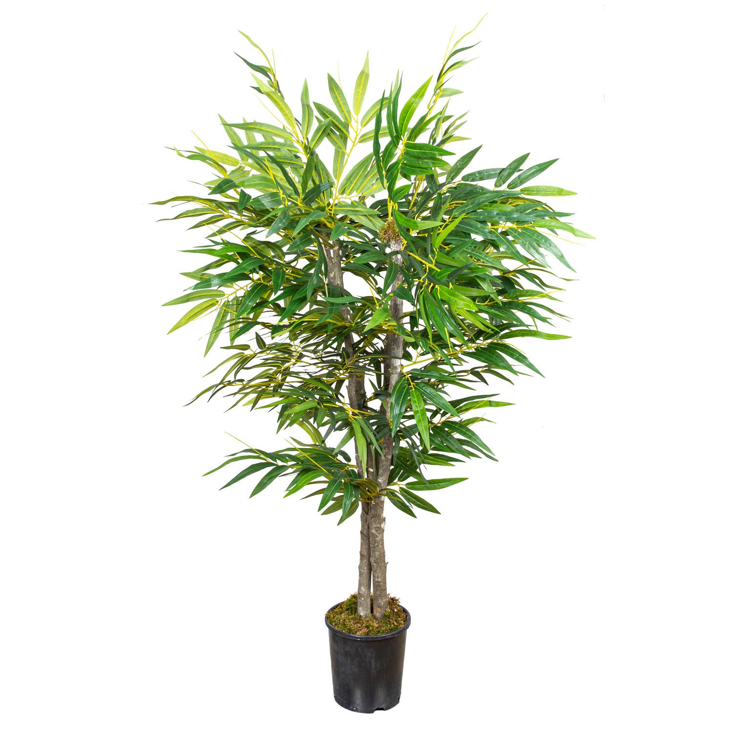 Yapay Bambu Ağacı Çift Gövde Yeşil 130 Cm.