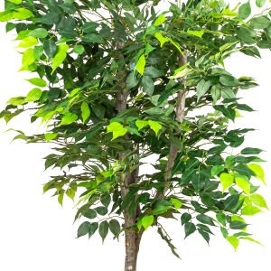 Yapay Ficus Ağacı Çift Gövde Açık Yeşil 130 Cm.