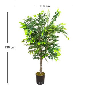 Yapay Ficus Ağacı Çift Gövde Açık Yeşil 130 Cm.