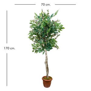 Yapay Zeytin Ağacı Çift Gövde Yeşil 170 Cm.