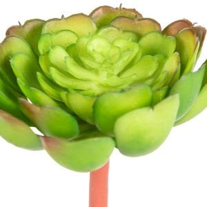 Yapay Kaktüs Sukulent Yeşil 12 Cm.