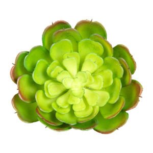 Yapay Kaktüs Sukulent Yeşil 12 Cm.