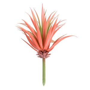 Yapay Kaktüs Sukulent Kırmızı/Yeşil 17 Cm.