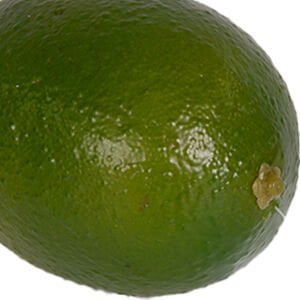 Yapay Yeşil Limon 8 Cm.