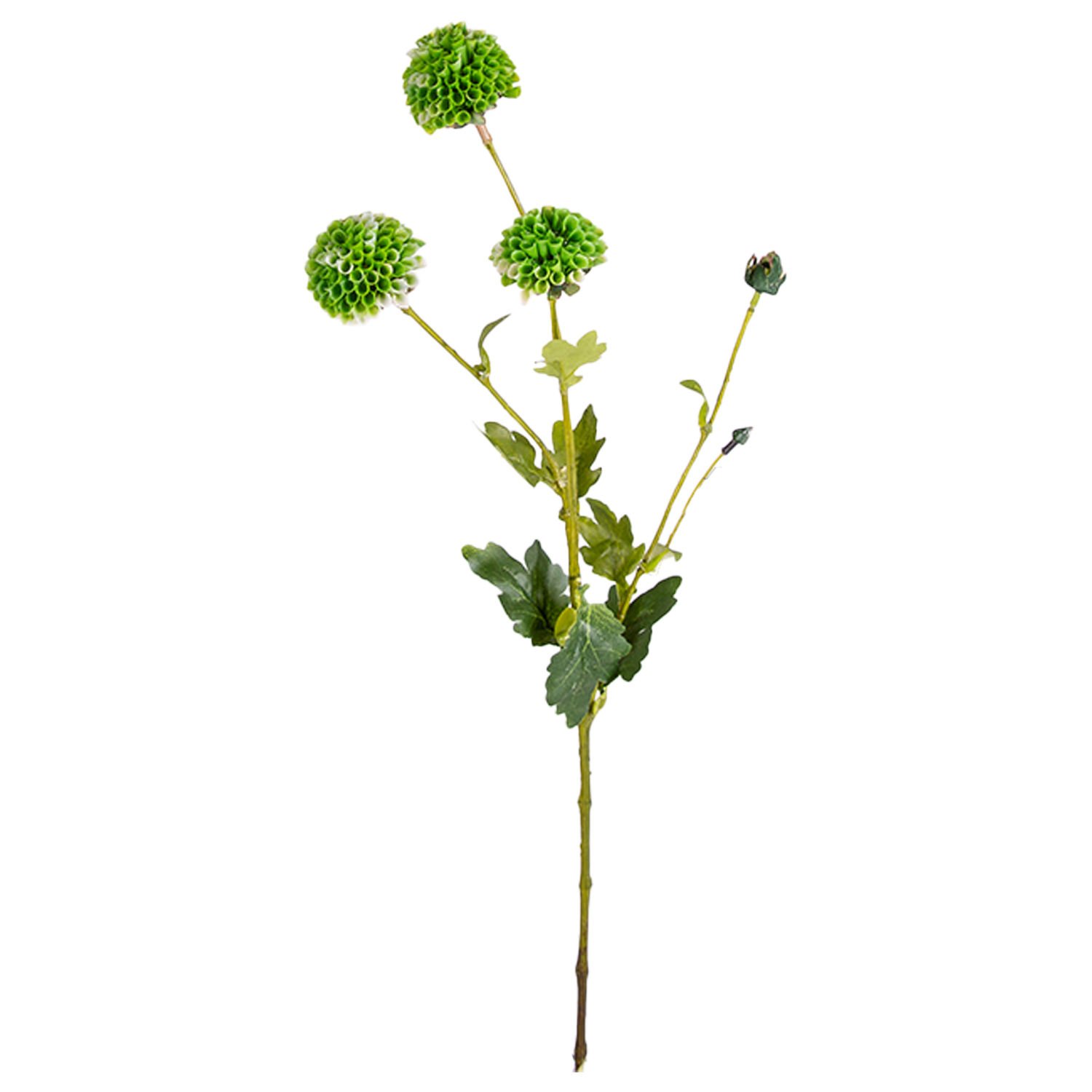 Yapay Kadife Çiçeği Yeşil  64 Cm.