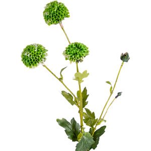 Yapay Kadife Çiçeği Yeşil  64 Cm.