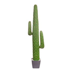 Yapay Kaktüs, Saksılı - 142 cm