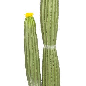 Yapay Kaktüs Saksılı Sarı Çiçekli 92 Cm.