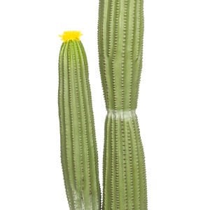 Yapay Kaktüs Saksılı Sarı Çiçekli 92 Cm.
