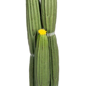 Yapay Kaktüs Saksılı Sarı Çiçekli 103 Cm.