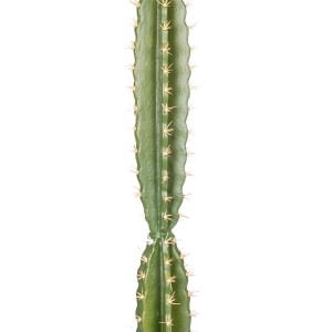 Yapay Kaktüs Saksılı 113 Cm.