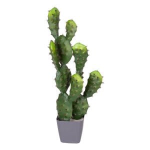 Yapay Kaktüs Saksılı 2 Gövde 72 Cm.