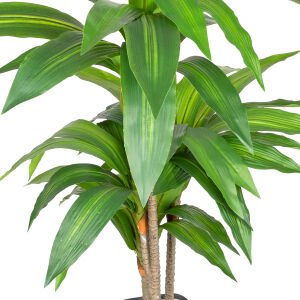 Yapay Dracena Gerçek Dokulu Yeşil 90 Cm.