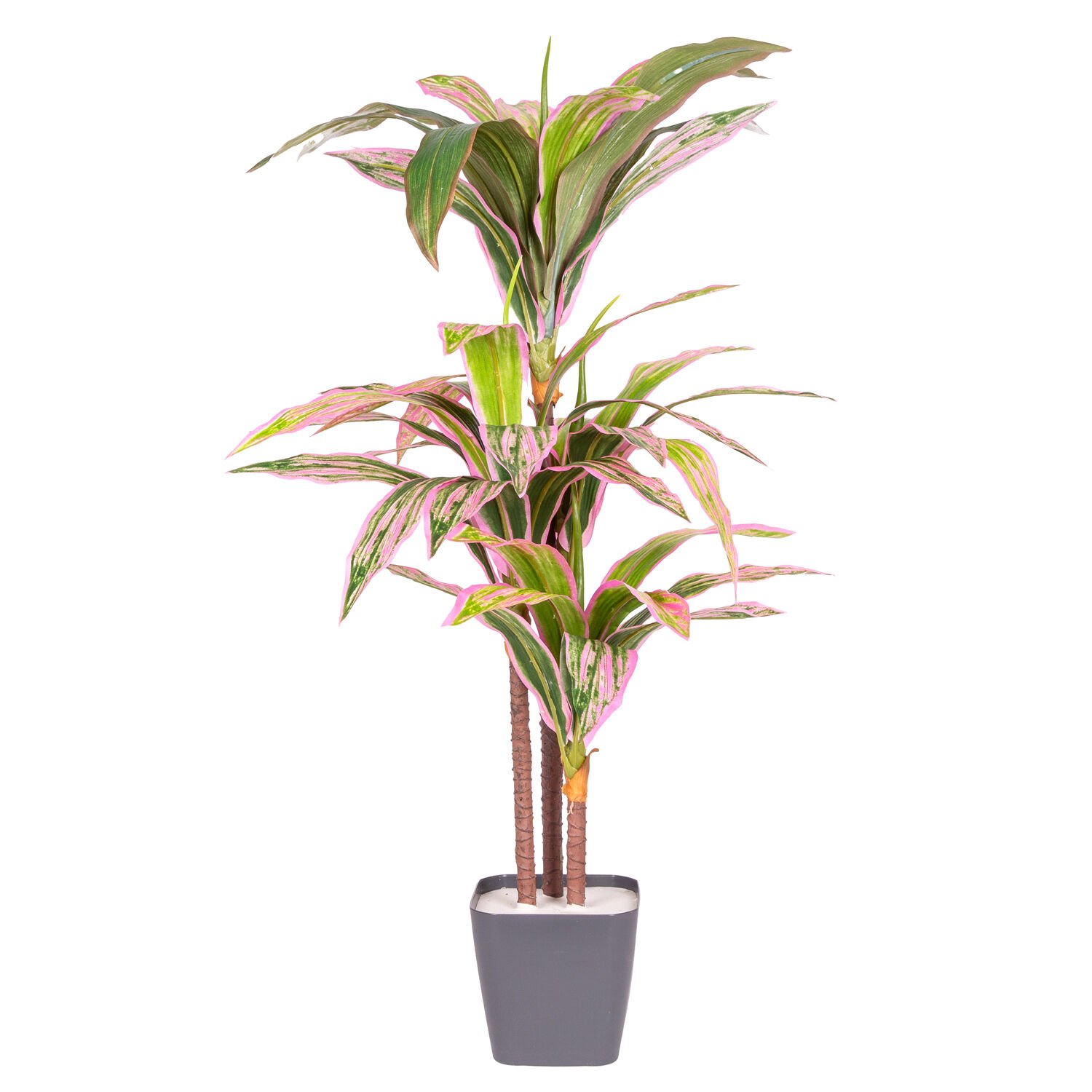 Yapay Dracena Gerçek Dokulu 90 Cm.
