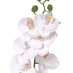 Yapay Çiçek Orkide Gerçek Dokunuş Beyaz 95 Cm.