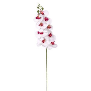 Yapay Orkide Gerçek Dokunuş Beyaz-Mor 95 Cm.