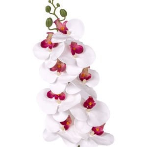 Yapay Orkide Gerçek Dokunuş Beyaz-Mor 95 Cm.
