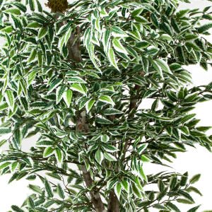 Yapay Smilax Ağacı Çift Gövde Yeşil-Beyaz 200 Cm.