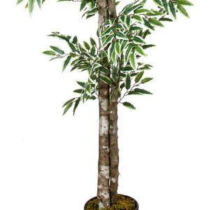 Yapay Smilax Ağacı Çift Gövde Yeşil-Beyaz 200 Cm.
