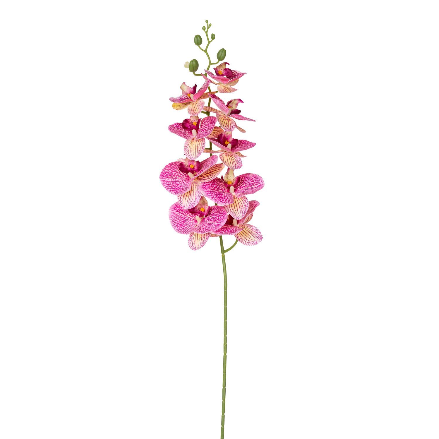 Yapay Orkide Gerçek Dokunuş Fuşya 95 Cm.