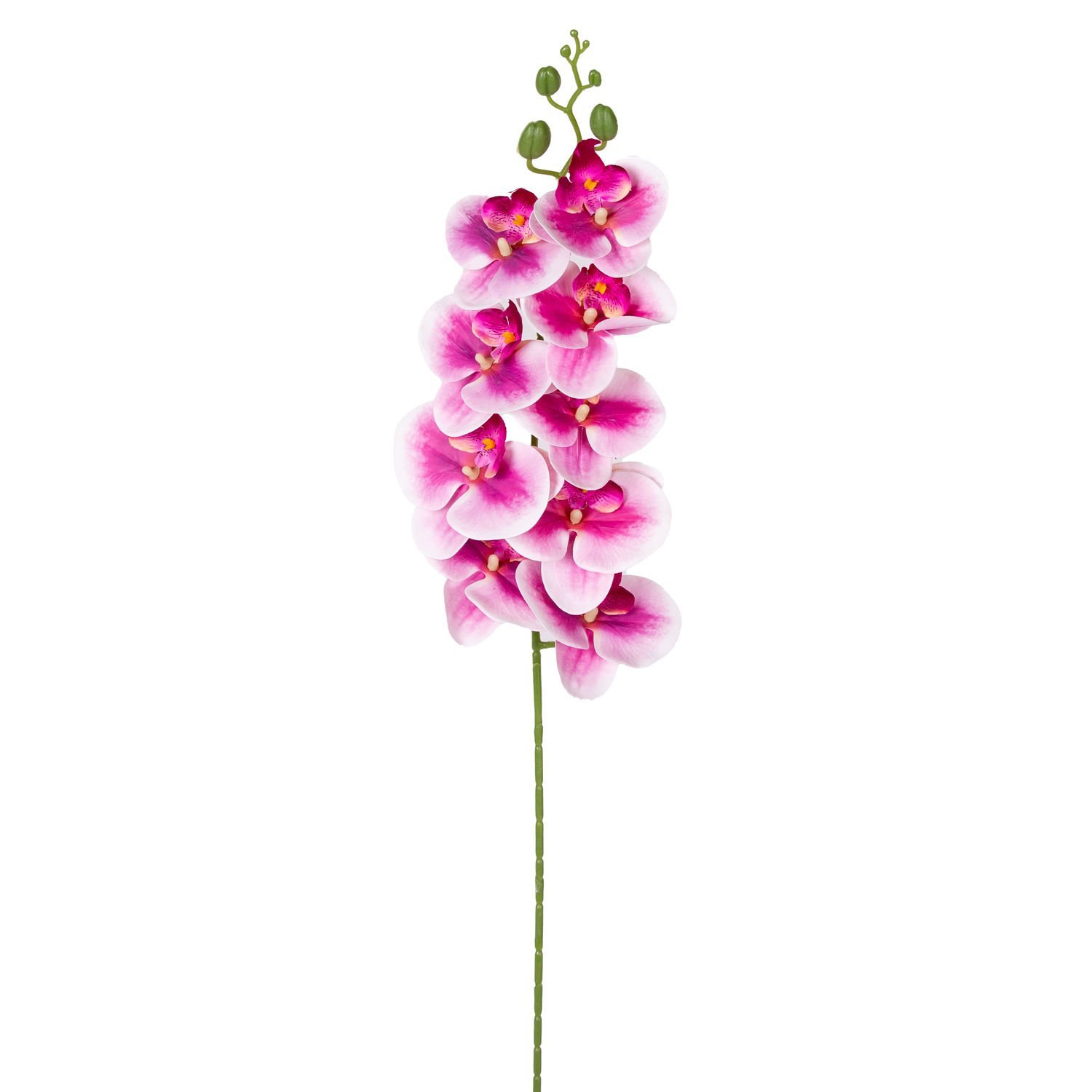 Yapay Orkide Gerçek Dokunuş Fuşya-Beyaz 95 Cm.