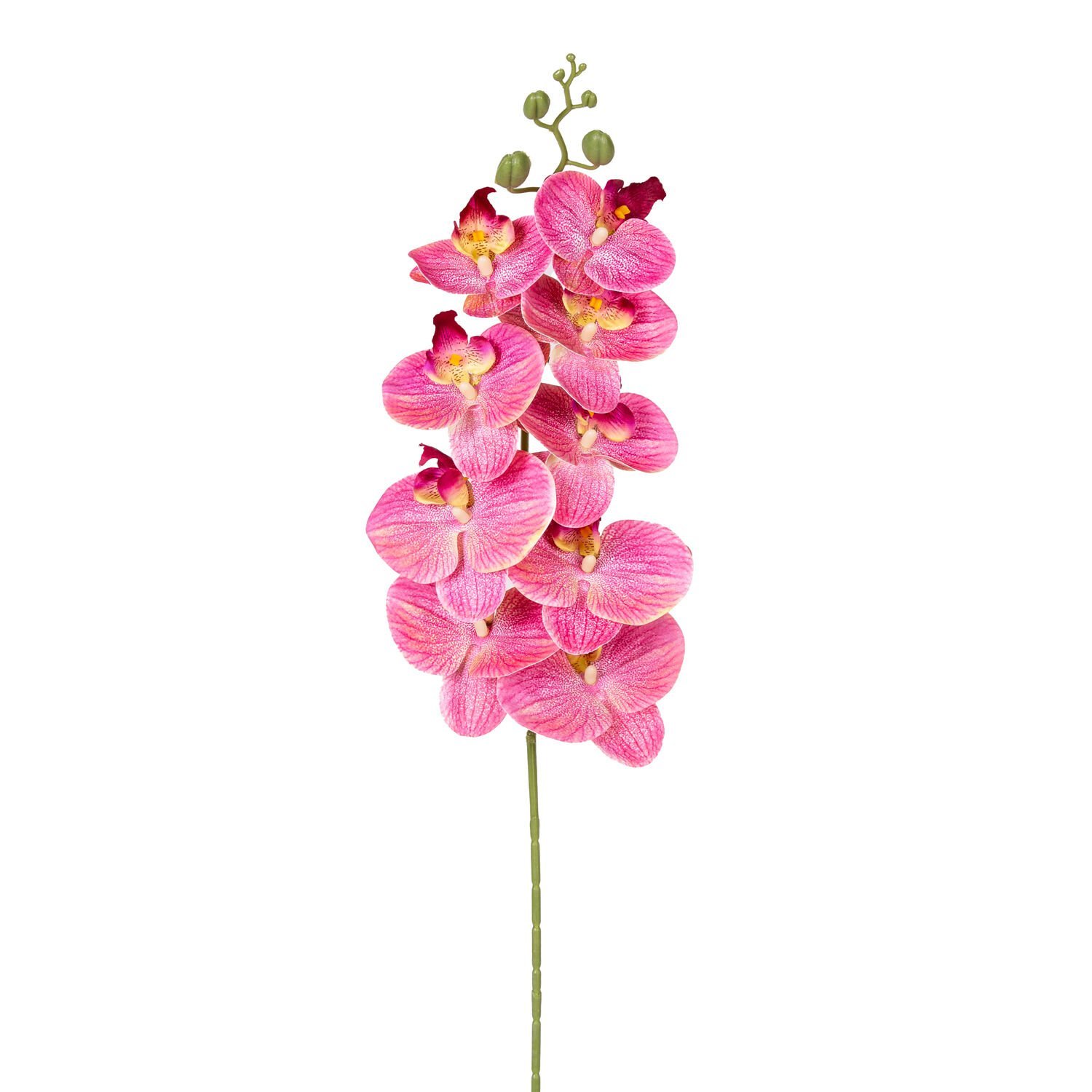 Yapay Orkide Gerçek Dokunuş Fuşya-Sarı 95 Cm.