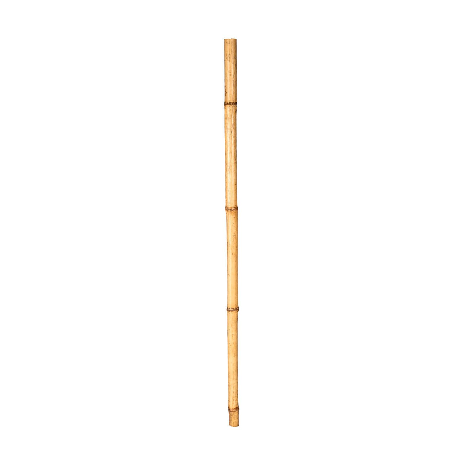 Bambu Çubuk 30/40 mm. 1 Metre