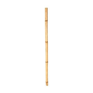 Bambu Çubuk 30/40 mm. 1 Metre