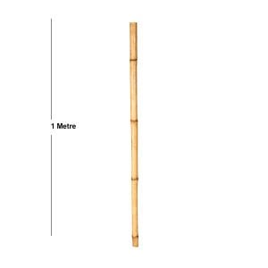 Bambu Çubuk 30/40 mm. 1 Metre