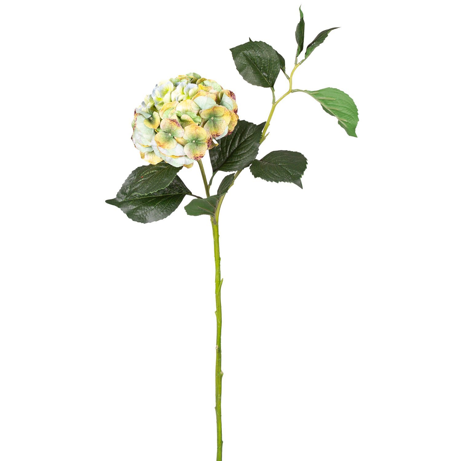 Yapay Çiçek Islak Dokulu Ortanca Yeşil Tek Dal 110 Cm.