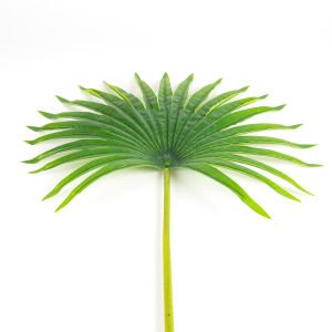 Yapay Palmiye Yaprağı 80 Cm.