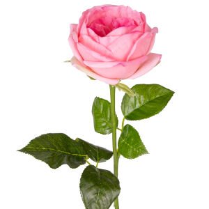 Yapay Çiçek Islak Dokulu Gül Pembe 48 Cm.