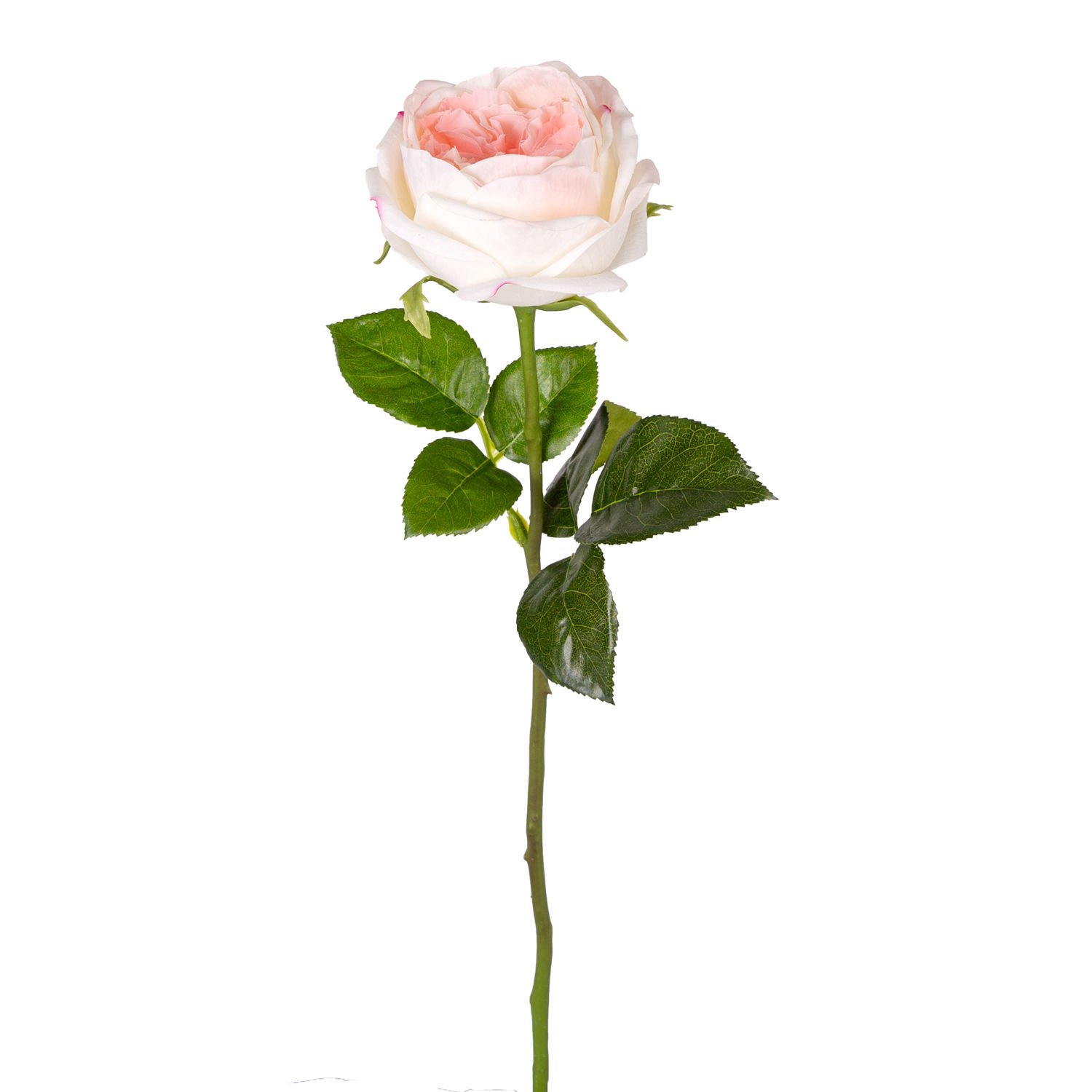 Yapay Çiçek Islak Dokulu Gül Beyaz-Pembe 48 Cm.