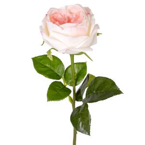 Yapay Çiçek Islak Dokulu Gül Beyaz-Pembe 48 Cm.