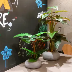 Çalışanlarınıza Doğayı Hediye Edin: Ruhsuz Alanlardan İlham Veren Dinlenme Köşelerine