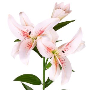 Yapay Çiçek Zambak Fuşya-Beyaz 85 Cm.