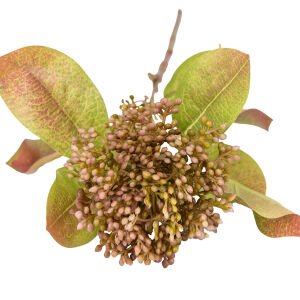 Yapay Bitki Simüle Berry Dal Kahverengi 52 Cm.