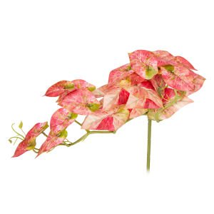 Yapay Bitki Salon Sarmaşığı Kızıl 35 Cm.