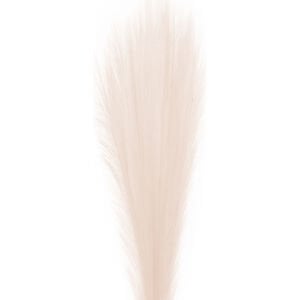 Yapay Bitki Pampas Krem 108 Cm.