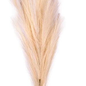 Yapay Bitki Pampas Dal Krem 108 Cm.