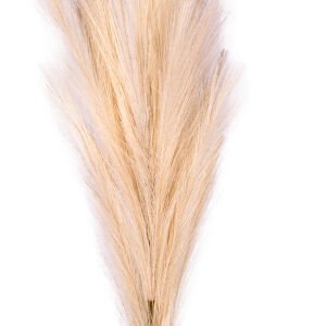 Yapay Bitki Pampas Kahve 108 Cm.