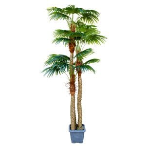 Yapay Fan Palmiye 3 Gövdeli Gerçek Dokulu 45 Yaprak Yeşil 300 Cm.