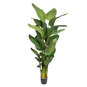 Yapay Starliçe Ağacı 20 Yaprak Yeşil 220 Cm.