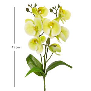 Yapay Orkide Gerçek Dokunuş Yeşil 45 Cm.