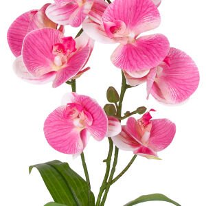 Yapay Orkide Gerçek Dokunuş Pembe 45 Cm.