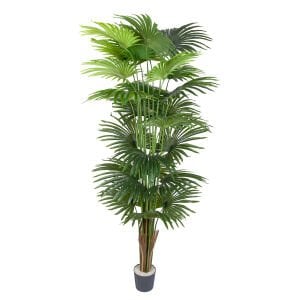 Yapay Fan Palmiye Gerçek Dokulu Yeşil 220 Cm.
