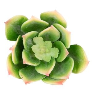 Yapay Kaktüs Sukulent Yeşil 12 Cm