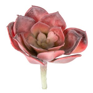 Yapay Kaktüs Sukulent Bordo 12 Cm