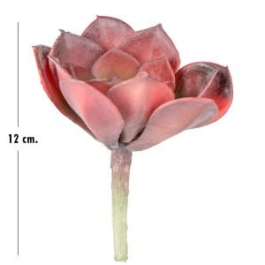 Yapay Kaktüs Sukulent Bordo 12 Cm
